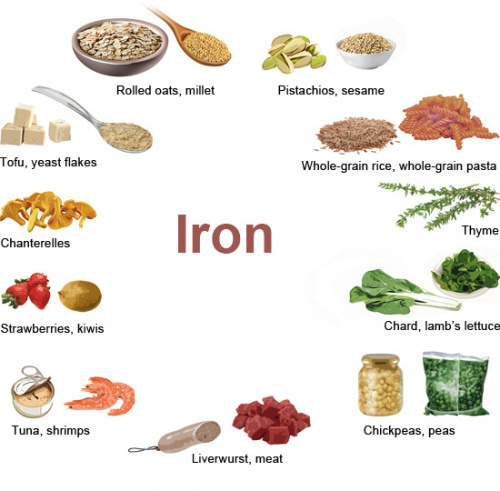 Iron Rich foods