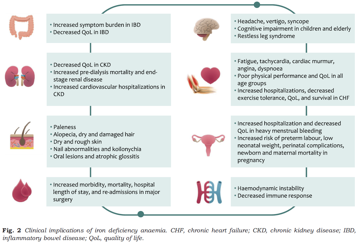 Clinical Implications in Iron Deficiency Anemia