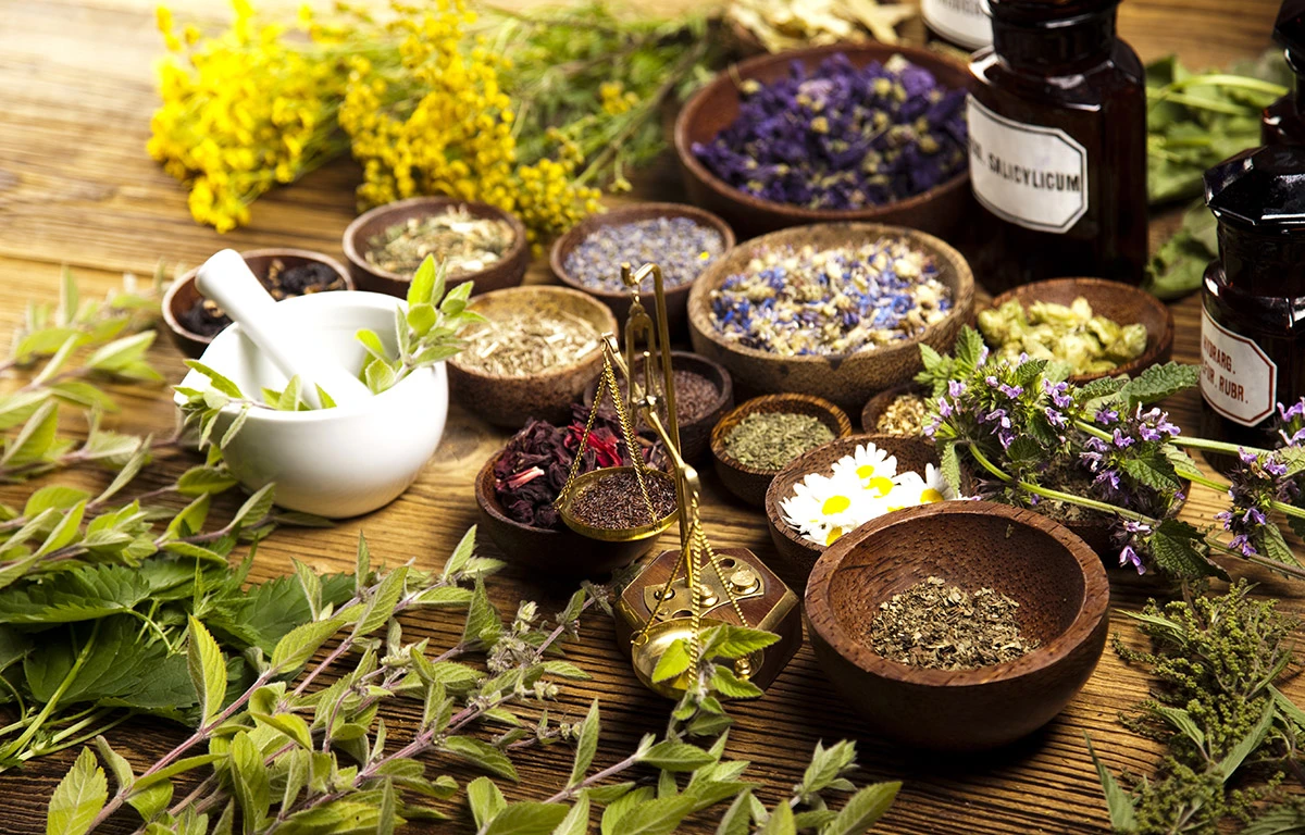 Herbal Medicine, Benefits, Importance, and Risks