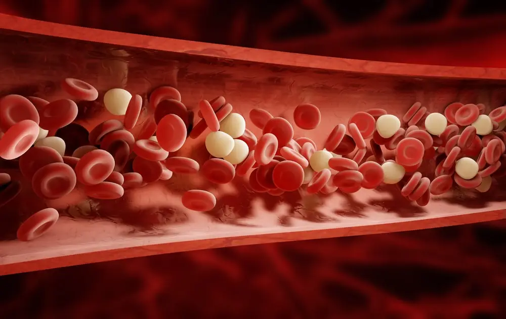 Hemolytic Anemia | Causes, Symptoms and Treatments
