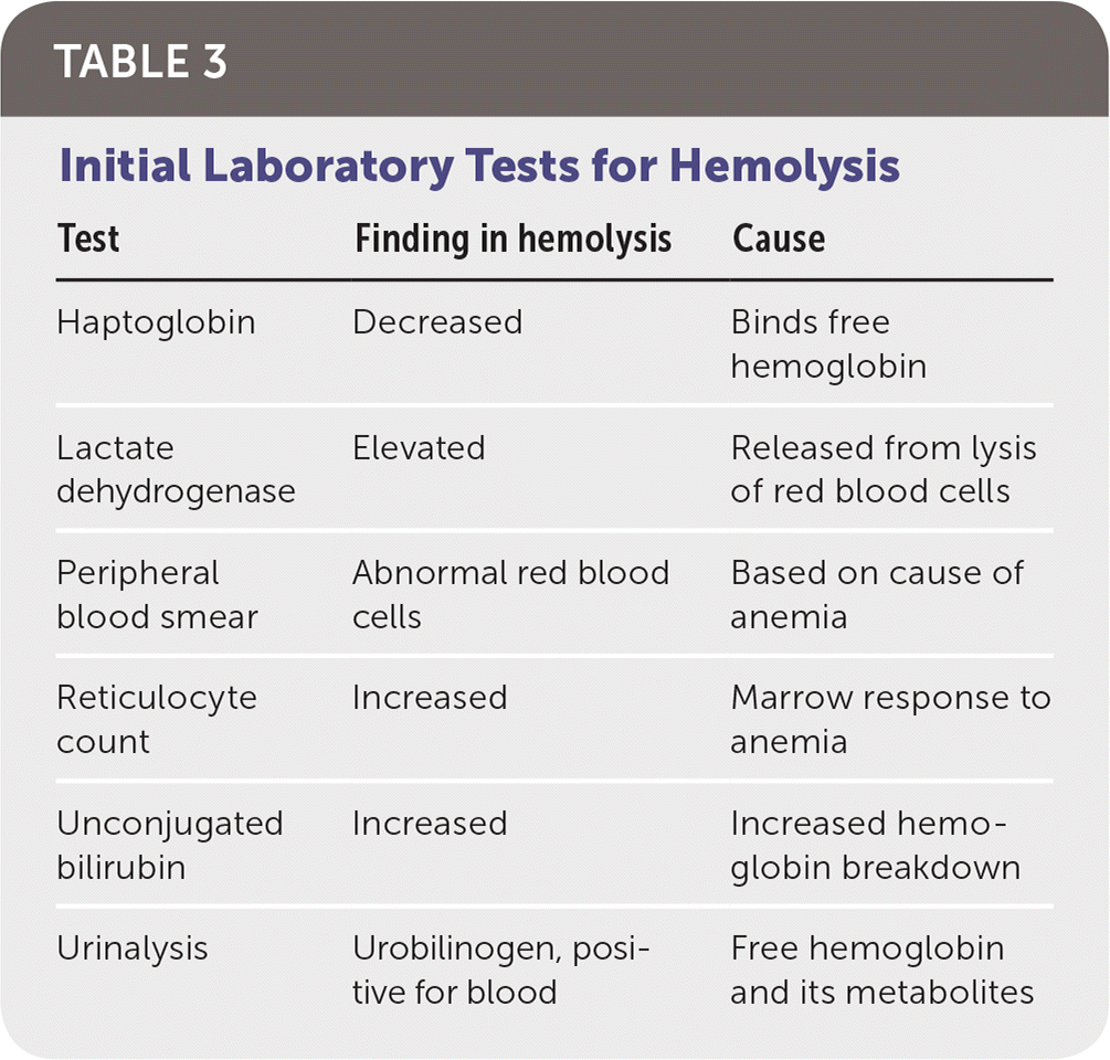 Initial Laboratory Tests for Hemolysis