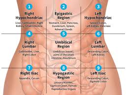 Pain in lower left abdomen female