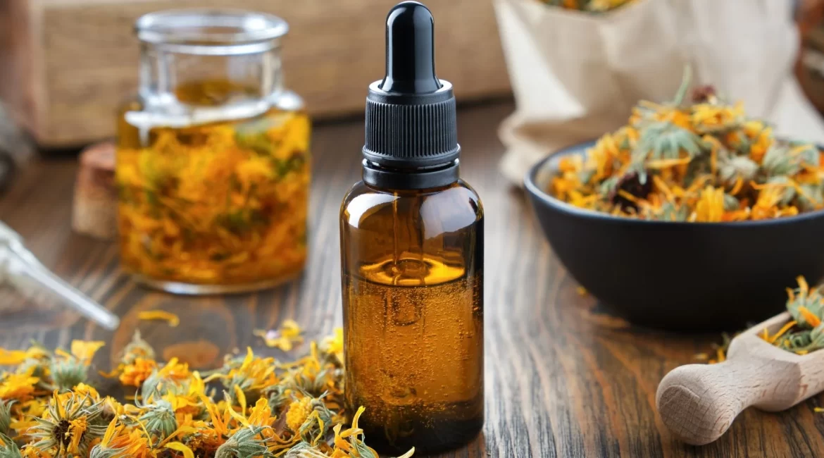 Wound healing herb - Calendula