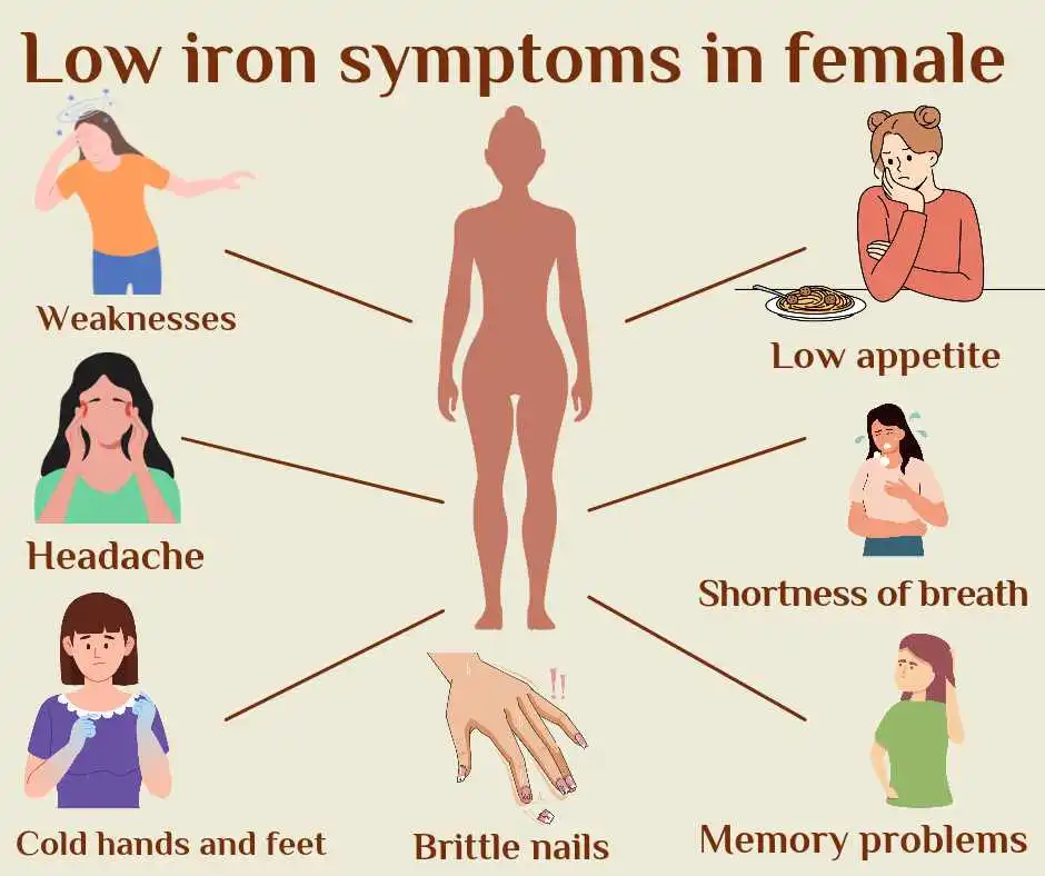 Low iron symptoms female including headache, pale skin, and pica