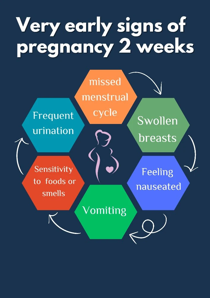 Early Signs of Pregnancy 2 Weeks