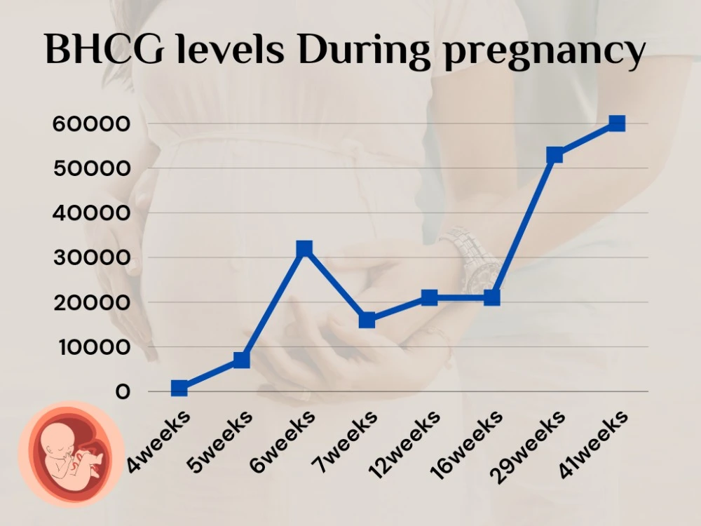 very early signs of pregnancy 2 weeks can detect by pregnancy test