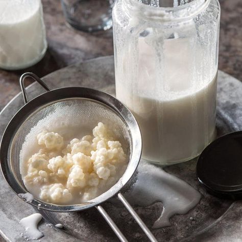 Probiotics Benefits