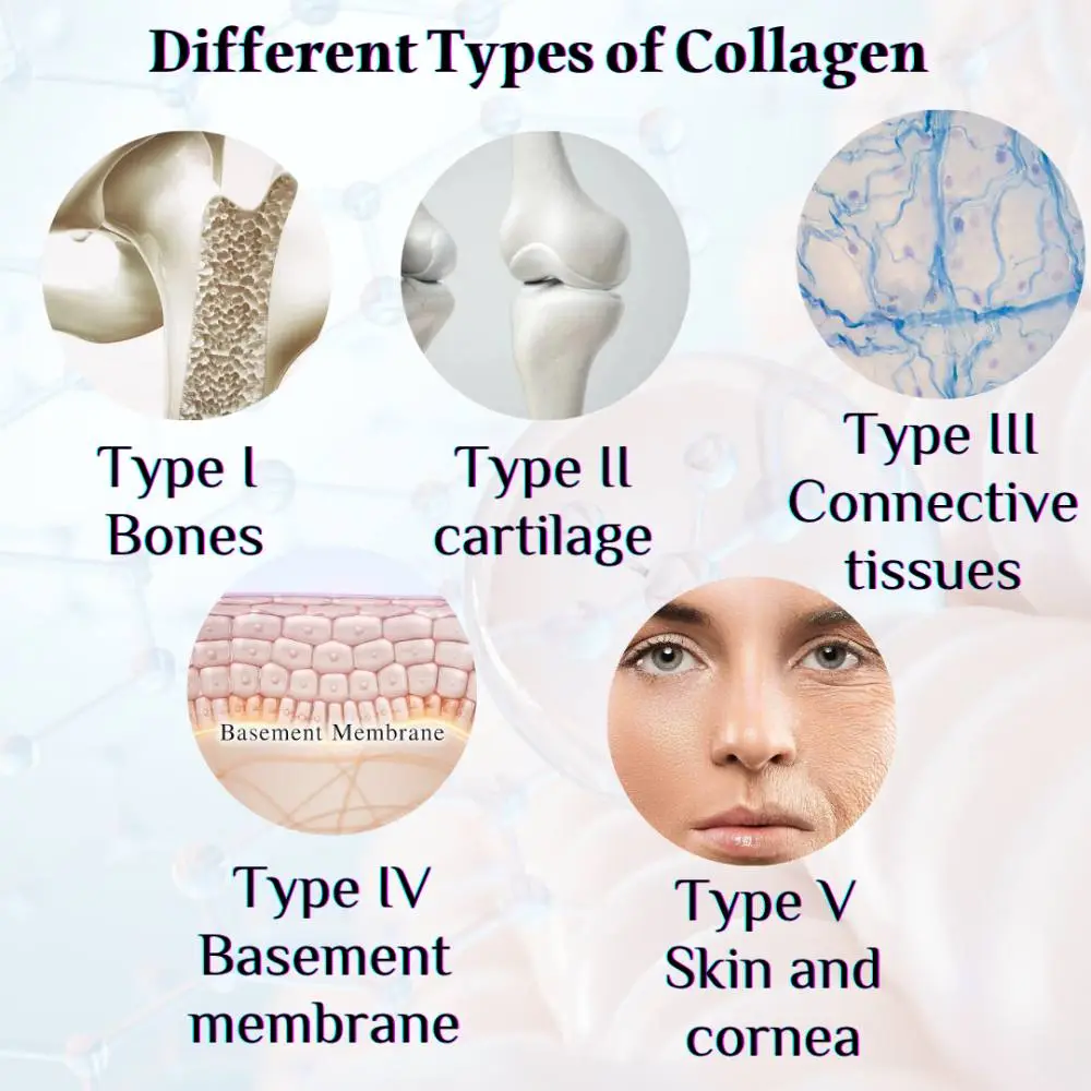 Different types of collagen to know when choosing the best supplements of collagen.